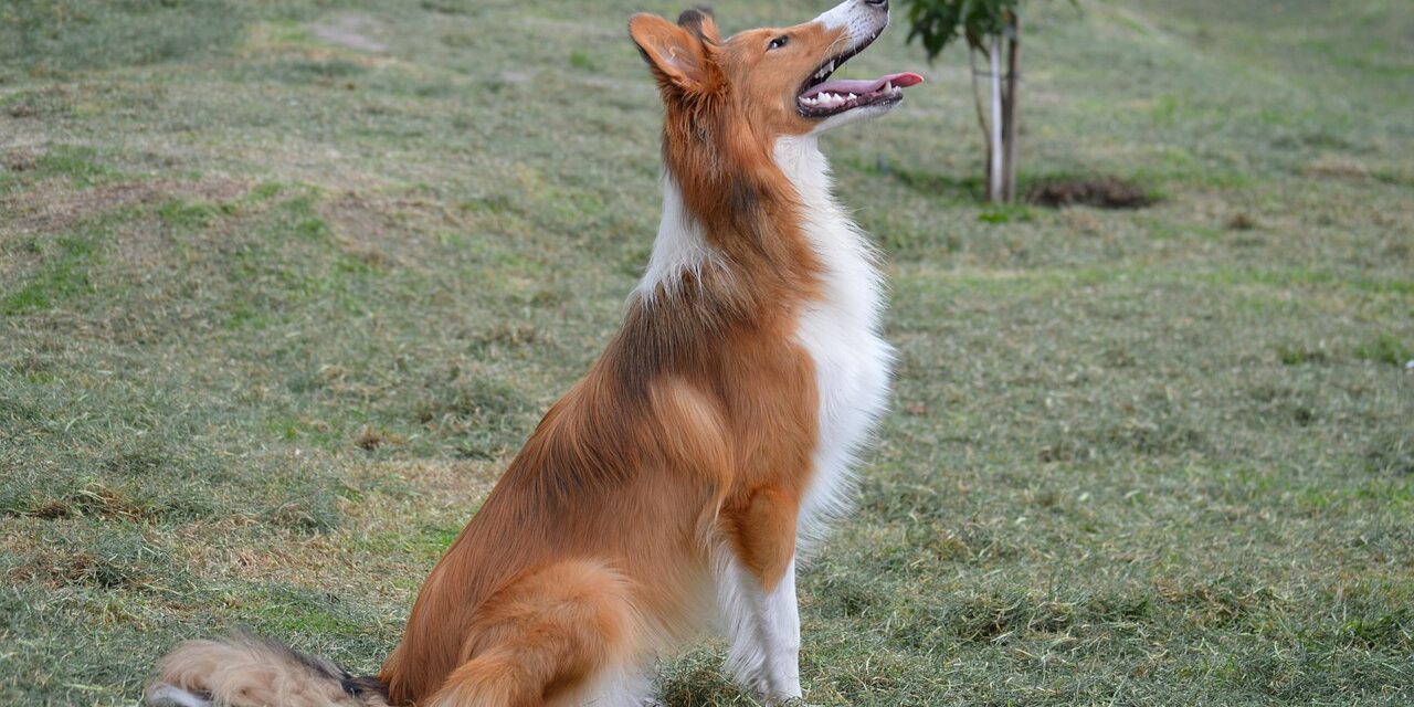 Análisis completo de la salud de Max